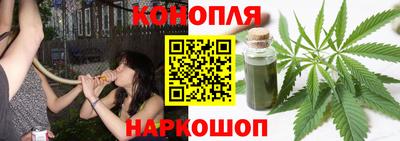стафф Дубна