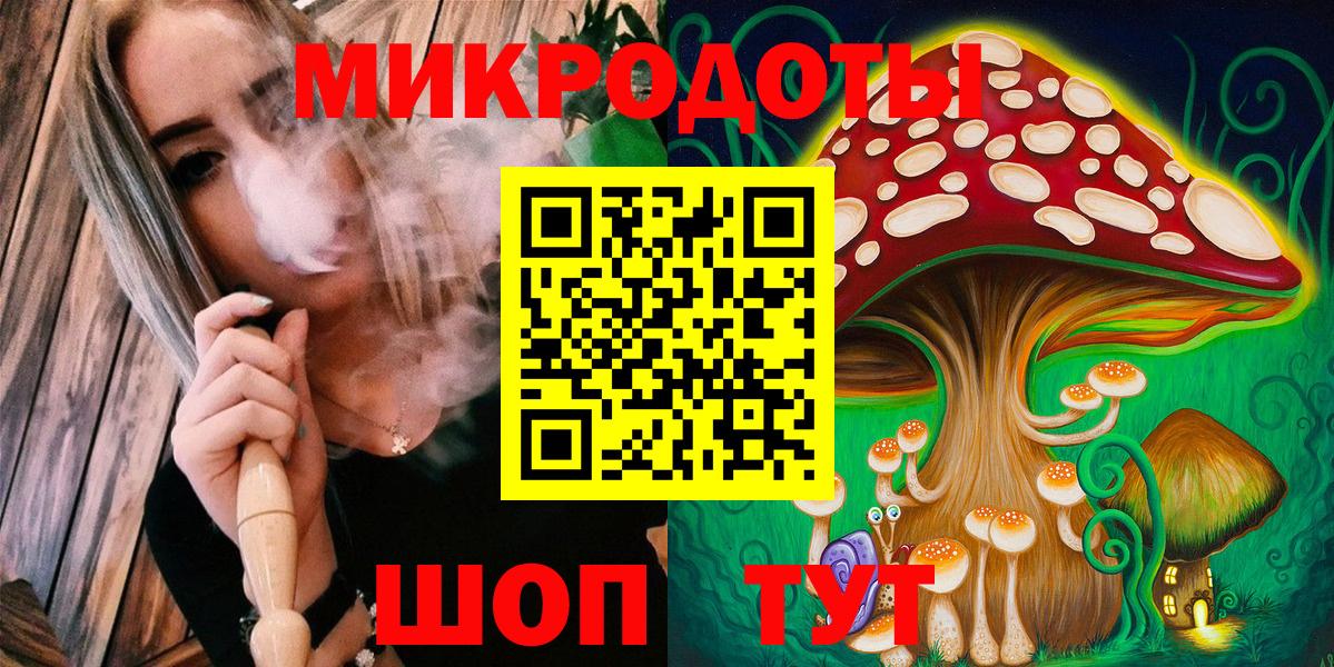 Карачаевск  Псилоцибиновые грибы Psilocybe  Вход с VPN  Псилоцибиновые грибы GOLDEN TEACHER 