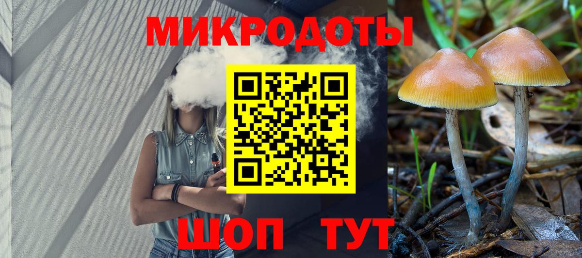 Галлюциногенные грибы ЛСД Карачаевск